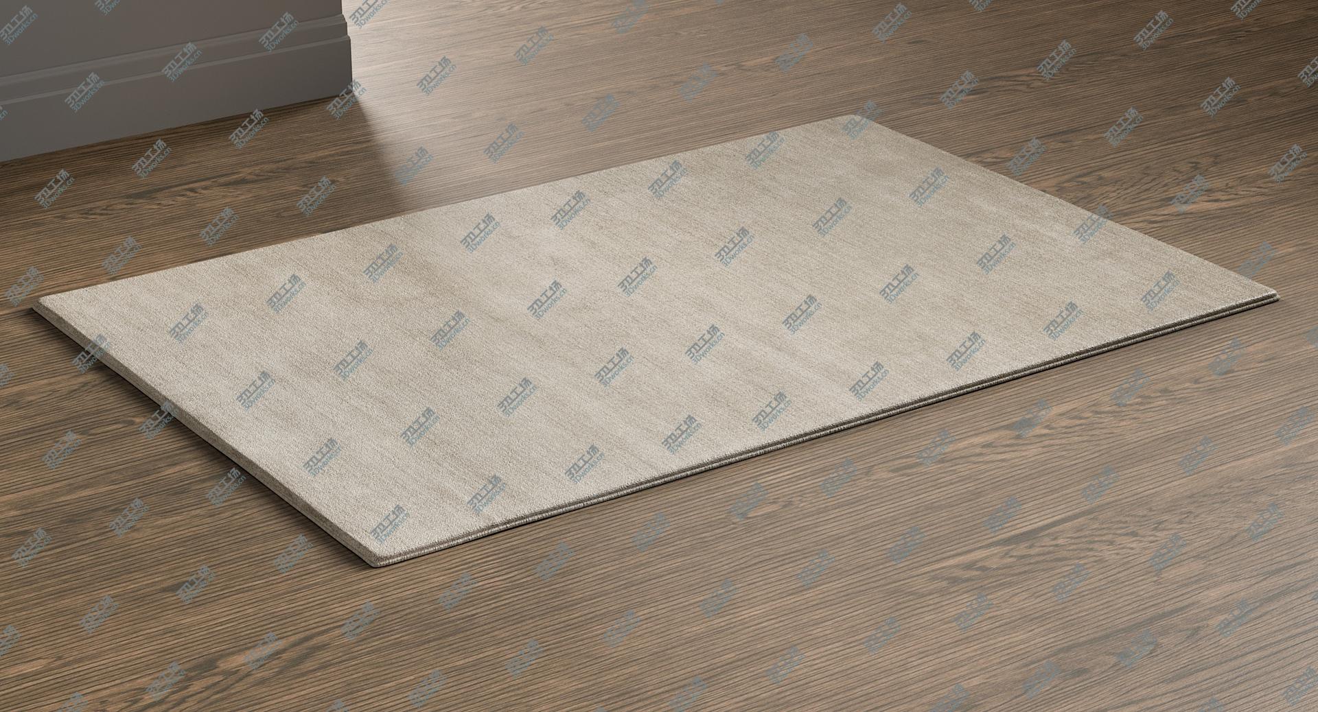 images/goods_img/202105071/Rug Collection model/2.jpg